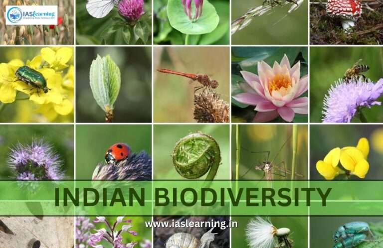 Indian Biodiversity: A Deep Dive into India’s Unique Biodiversity Hotspots