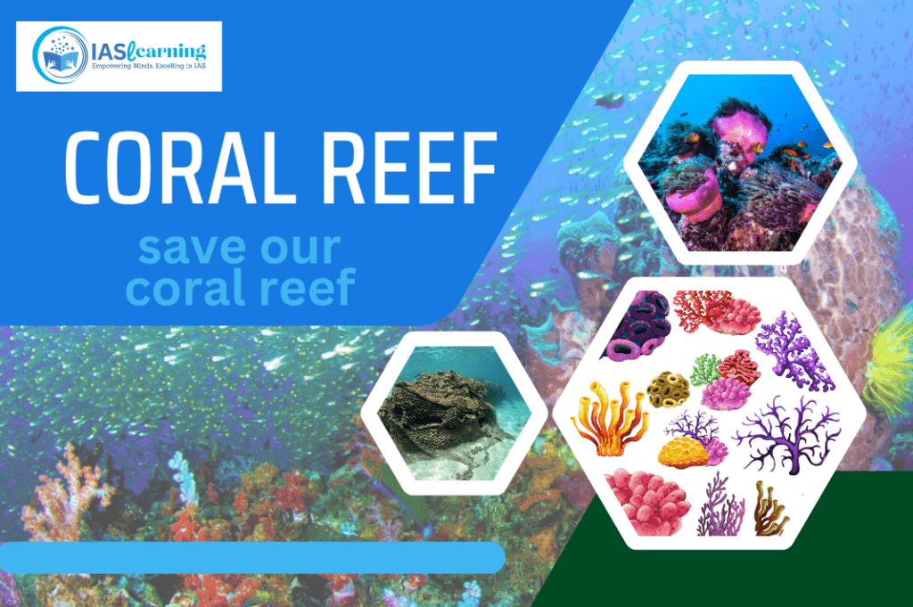 coral reef