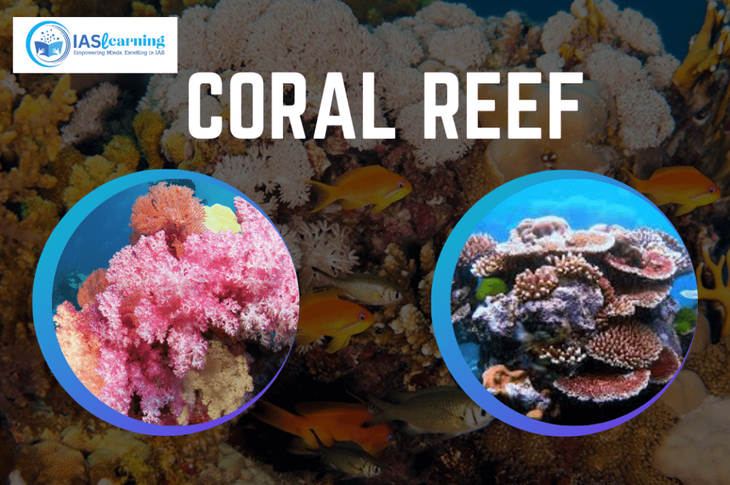 Coral Reef: Beauty and Peril of Coral Reef - iaslearning.in