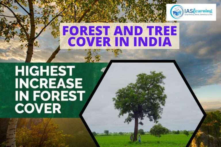 India’s Forest and Tree Cover :Evoking the peacefulness and beauty of the forest