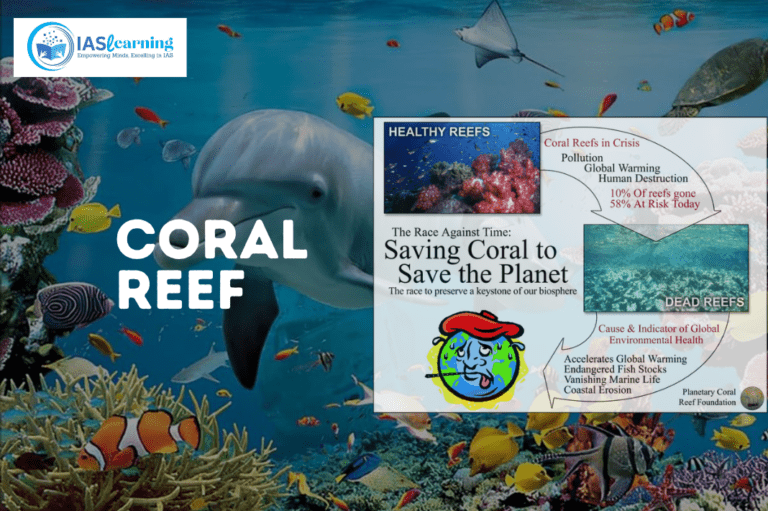 Coral Reef: Beauty and Peril of Coral Reef