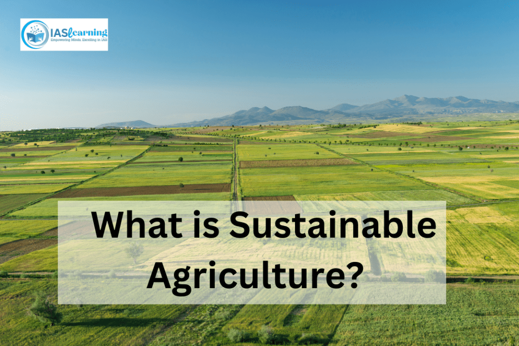 Sustainable Agriculture Development