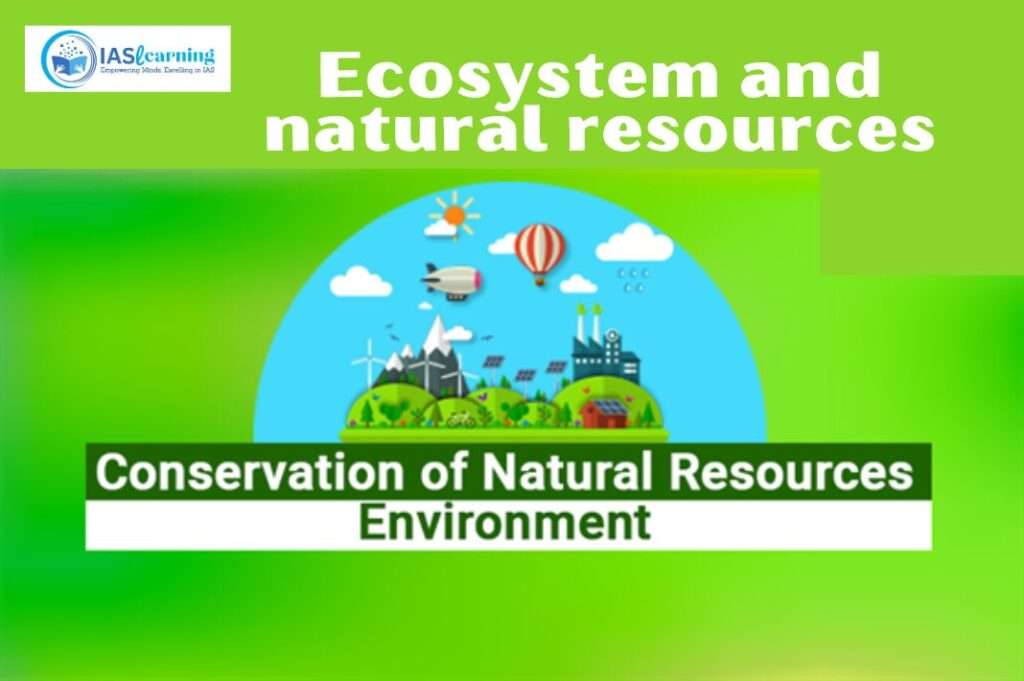 Ecosystem